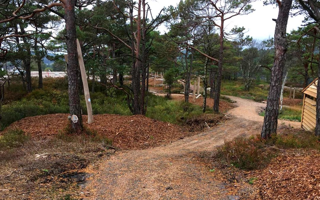 Uteområdet ferdig opparbeidet med stier og spennende aktivitetstilbud