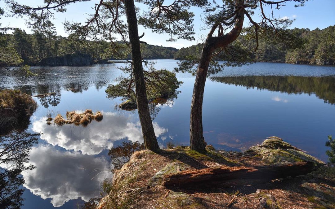 VELKOMMEN TIL KJELLANDSLØPET