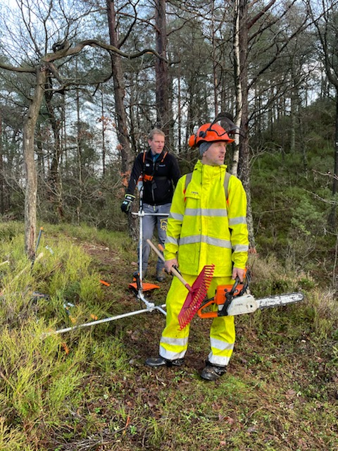 I Kjellandsheia rydder vi stier som var i ferd med å forsvinne