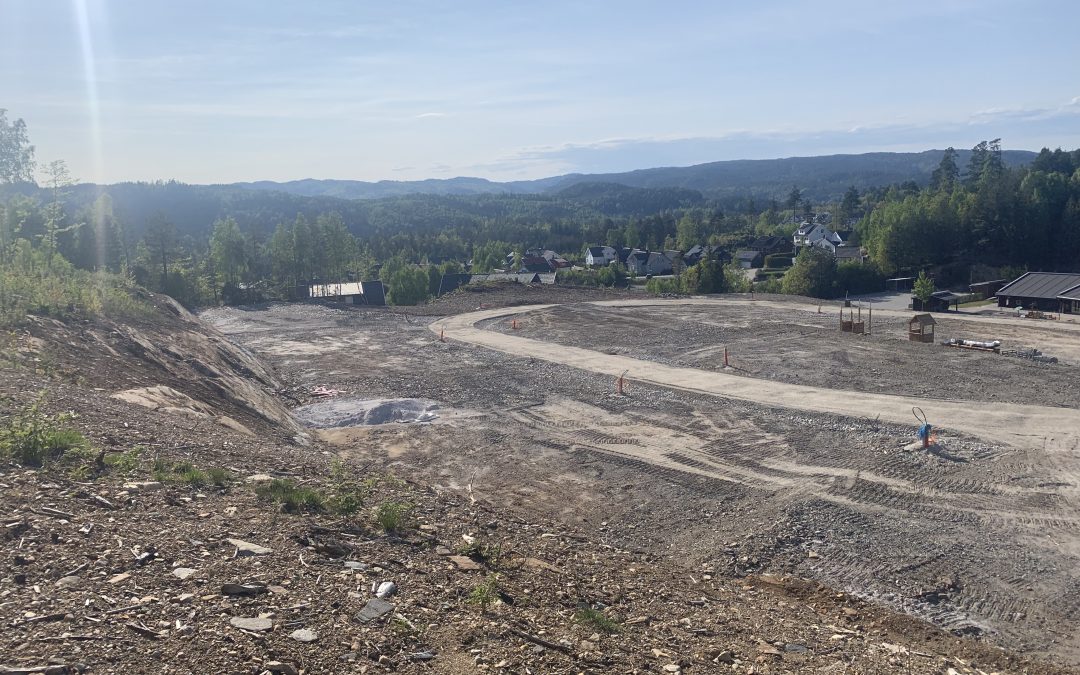 Natveitåsen kommer for salg i juni