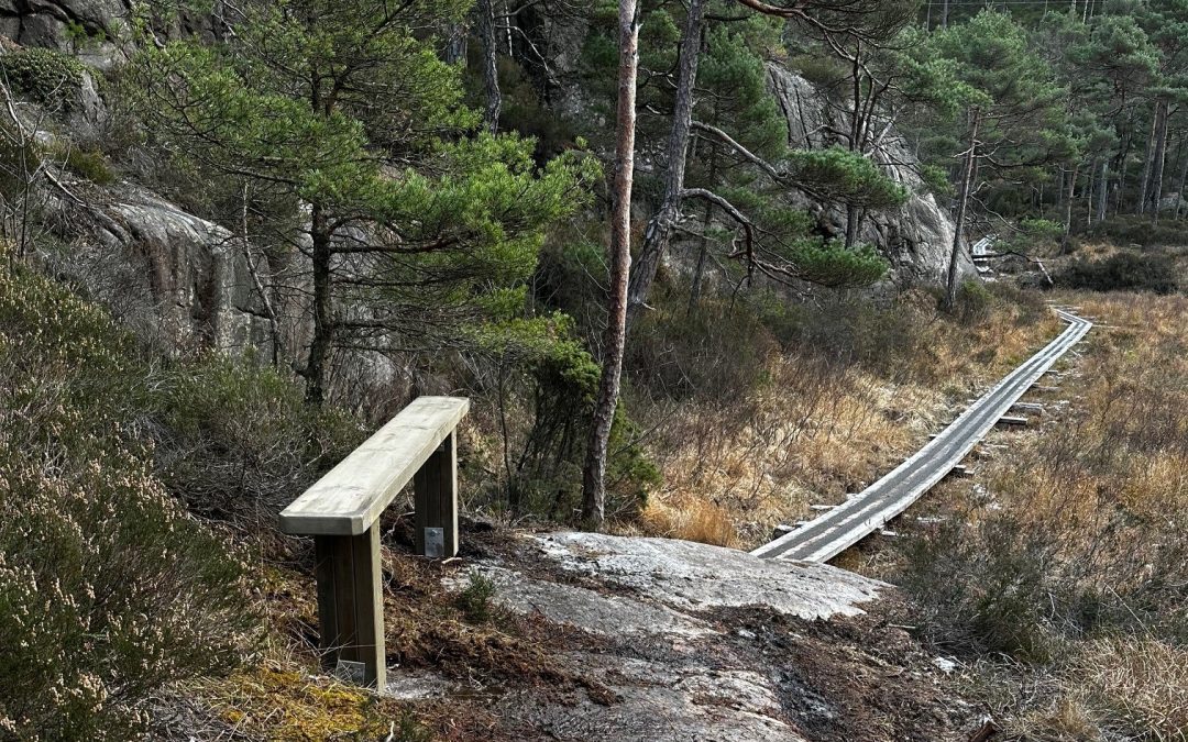 Nye benker i Kjellandsmarka